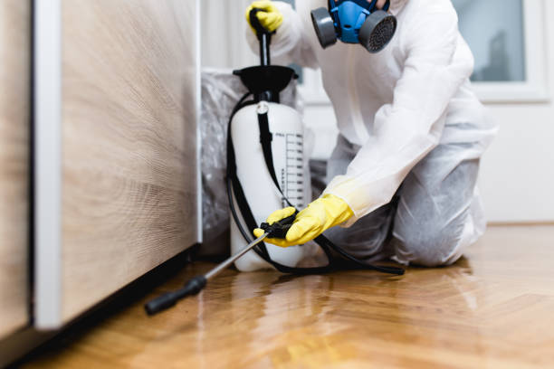 Best Wildlife Control Services  in Garden City South, NY