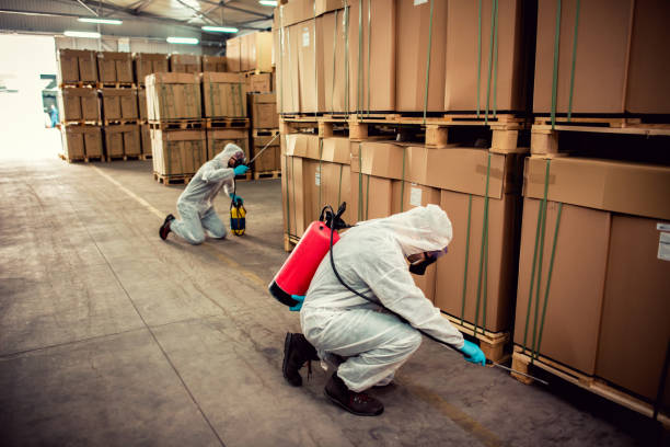 Best Pest Prevention Services  in Garden City South, NY