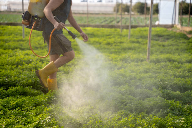Best Best Pest Control Companies  in Garden City South, NY