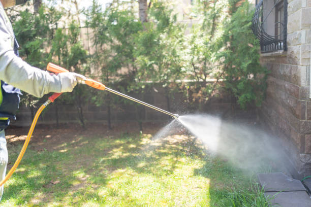 Best Affordable Pest Control Services  in Garden City South, NY