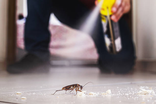 Best Local Pest Control Services  in Garden City South, NY