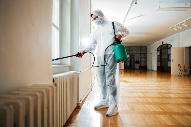 Best Flea Control Services  in Garden City South, NY